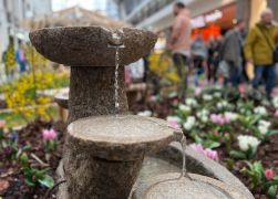 Fruehling In Jenas Goethe Galerie 2024 10